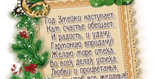 С НОВЫМ 2013 ГОДОМ!